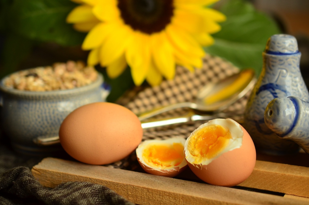 卵が発毛に効果的な理由とは？そのメカニズムを解説！