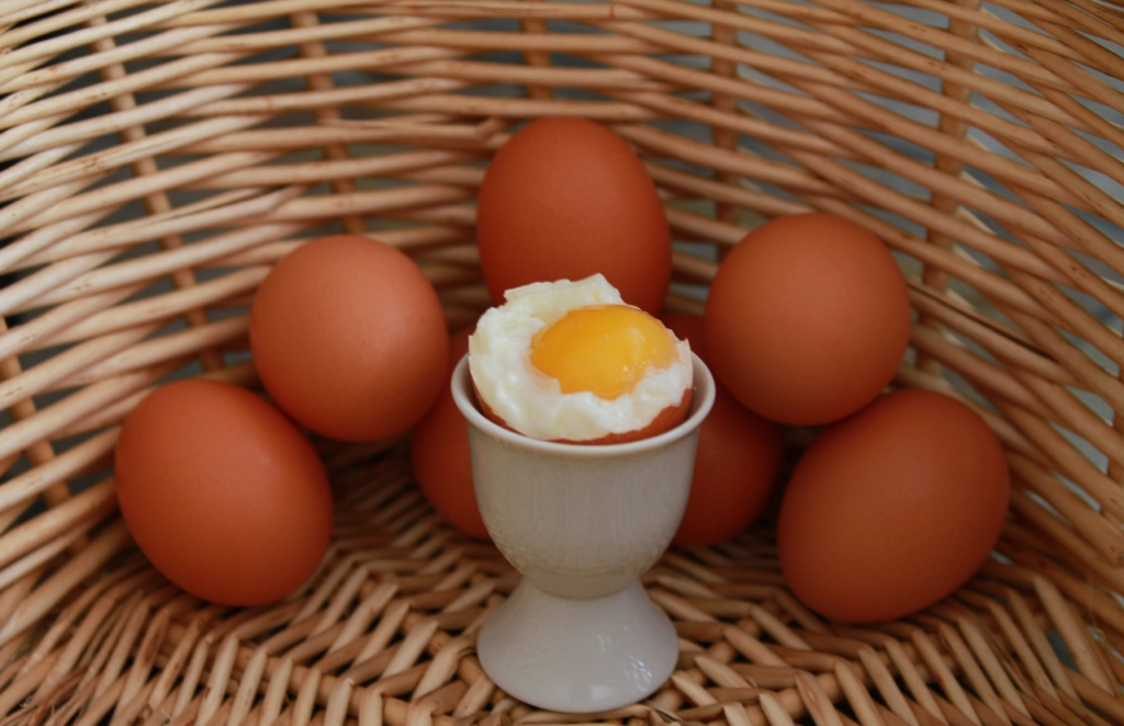 発毛に作用する卵を朝食に取り入れる理由は？